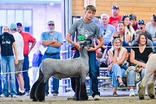  McCoy Marthaler  
4th Overall Market Lamb 
2026 Minnesota State Fair 
Bred by N&H