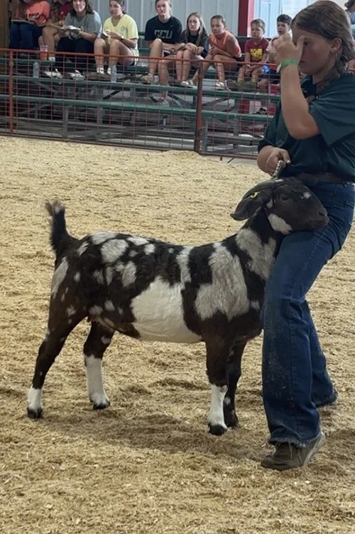  Braelyn VanAlst  
Champion Rate of Gain 
2026 Sac County Fair 