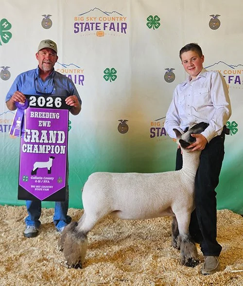   Bridger Noonan  
Supreme Breeding Ewe 
2026 Big Sky Country State Fair 
Bred by 406 Club Lambs