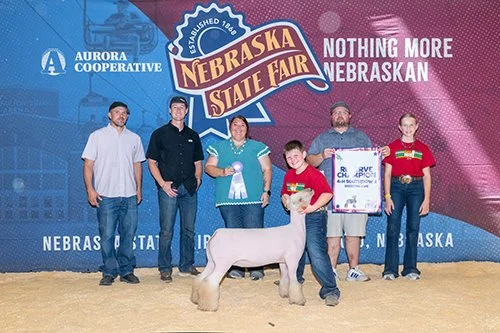  Casen Quinn  
Reserve Grand Champion Southdown Breeding Ewe 
2026 Nebraska State Fair 
Bred by Zeilinger Club Lambs