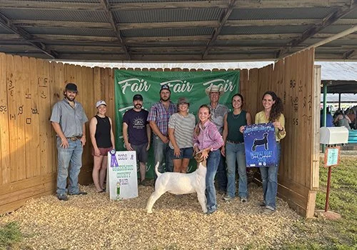   Jorja Beeman  
Grand Champion 
2026 Greenwood County Fair 
Bred by S2