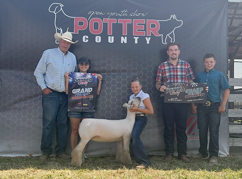  Shally Muller  
Champion Ewe 
2026 Potter County Jackpot 
Bred by Miller Farms