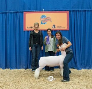  Whitney Polak  
Champion Dorset Advantage Ewe 
2020 Nebraska State Fair 4H Show 