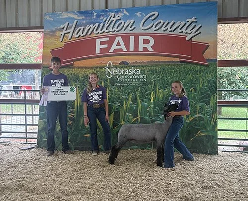  Brylee Mickey  
Reserve Champion 4-H Market 
2026 Hamilton County Fair 
Bred by Rule