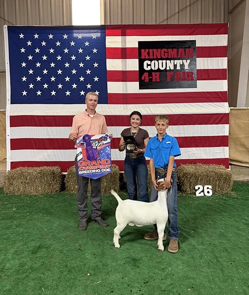  Nolan Baringer  
Grand Champion Breeding Doe 
2026 Kingman County Fair 
Bred by Foraker Goats