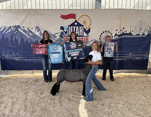  Gracy Davis  
5th Overall Market Lamb 
Champion Intermediate Showman 
2026 Utah State Fair 