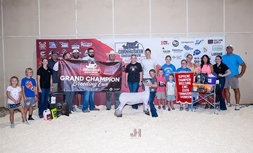  Reese Ehler  
Champion Breeding Ewe 
2026 Cornhusker Showdown 
Bred by Double E