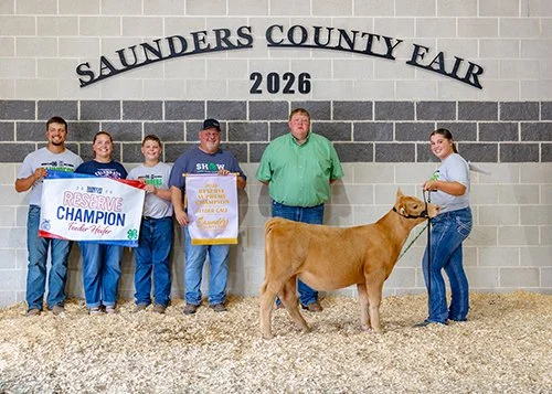   Bailey Benes  
Reserve Champion Heifer 
Reserve Champion Overall Feeder Calf 
2026 Saunders County Fair 
Bred by Benes Show Cattle