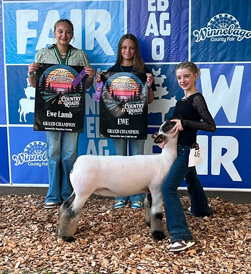  Allie Dodd  
Grand Champion Ewe Lamb 
2026 Winnebago County Fair 
Bred by Thomas Show Stock