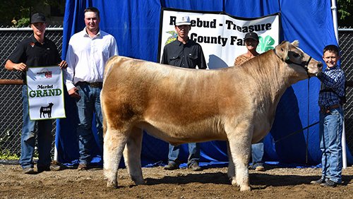  Case Stayer  
Champion Market Steer 
2026 Rosebud-Treasure County Fair 
Bred by Stayer