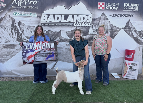  Rylin Ehlers  
Reserve Champion 
2026 Badlands Classic 
Bred by KL Livestock