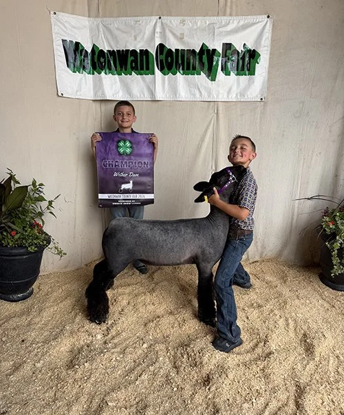   Tucker Urevig  
Grand Champion Wether Dam  
2026 Watonwan County Fair 
Bred by Nelson Show Lambs