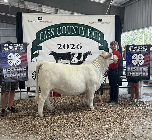  Landon Schroll  
Reserve Champion AOB Breeding Heifer 
2026 Cass County Fair 
Bred by SuhrHeim