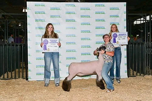  Karley Hamilton  
Reserve Grand Champion Wether Dam 
2026 Minnesota State Fair FFA Show 
Bred by Nelson Show Lambs