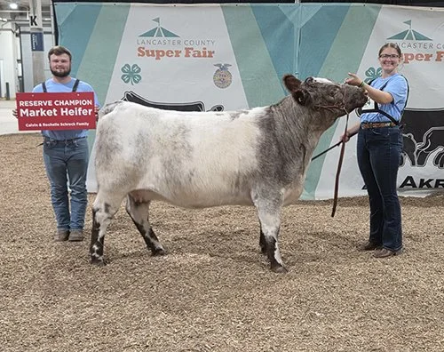  Connor Paitz  
Reserve Champion Market Heifer 
2026 Lancaster County Fair 