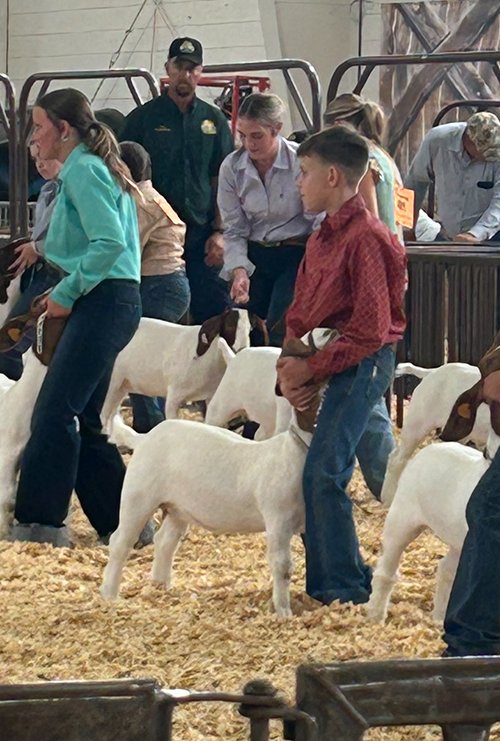  Dawson Decker  
1st Place 
2026 Pueblo County Fair 
Bred by Larson