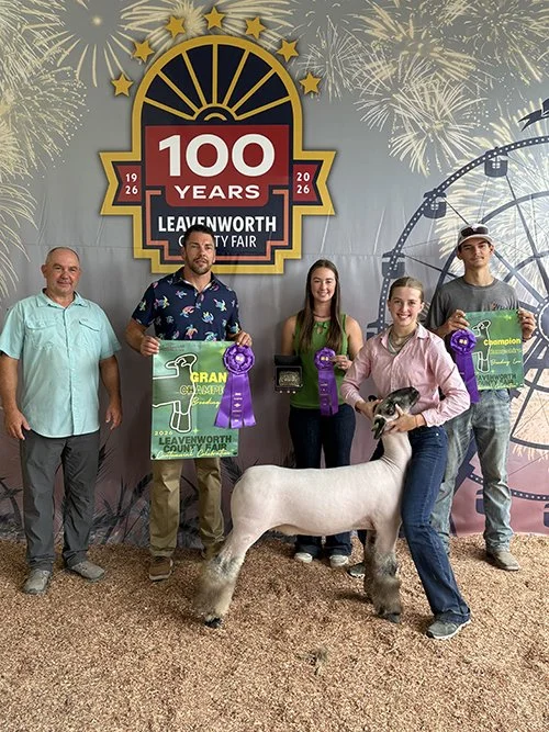  Helen Habjan  
Grand Champion Ewe 
2026 Leavenworth County Fair 
Bred by Rohrs