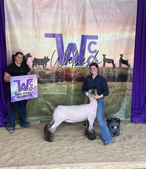  Lexi McCaffree  
3rd Overall Breeding Ewe 
2026 WaCo Wabash 
Bred by Hassebrook Show Lambs