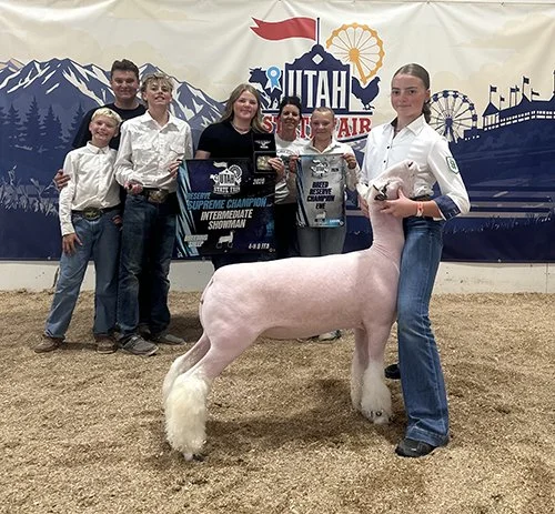  Stevie McQueen  
Reserve Champion Breeding Ewe 
Reserve Champion Intermediate Showman 
2026 Utah State Fair 
Bred by Long Livestock