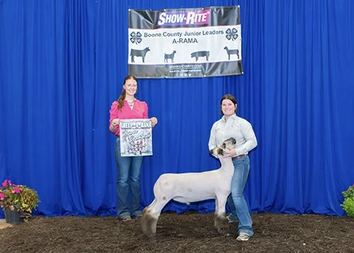  Lexi McCaffree  
Reserve Grand Champion Market Lamb 
2026 Boone County Sheep A Rama 
Bred by Hassebrook Show Lambs