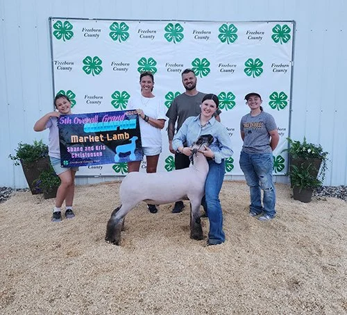  Kinley Adams  
5th Overall Market Lamb 
2026 Freeborn County 4-H Show 
Bred by Nelson Show Lambs