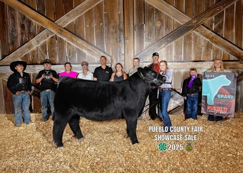  Ashlynn Dionisio  
Grand Champion Market Steer 
2025 Pueblo County Fair 
Bred by Pratt Show Cattle 