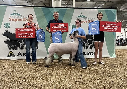  Lexi McCaffree  
Grand Champion Market Lamb 
2026 Lancaster County Fair 
Bred by Hassebrook Show Lambs