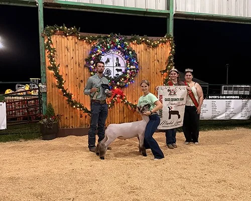   Miranda Foster  
Grand Champion Market Lamb 
Cass County Fair 
Bred by Crystal Farms