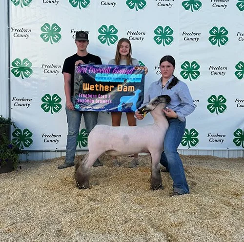  Kinley Adams  
3rd Overall Wether Dam 
2026 Freeborn County 4-H Show 
Bred by Begalka