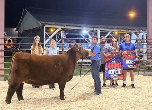 Beau Porter  
Grand Champion Breeding Heifer 
2026 Cooper County Fair 