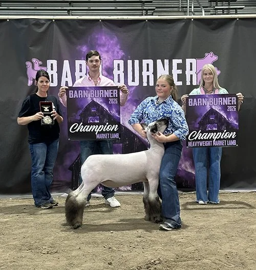  Paisley McQueen  
Grand Champion Market Lamb 
2026 Barn Burner 
Bred by Long Livestock