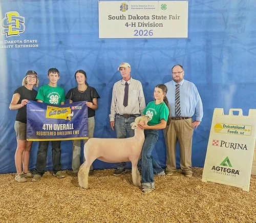  Kaycee Scheel  
4th Overall Breeding Ewe 
2026 South Dakota State Fair 
Bred by Scheel Livestock