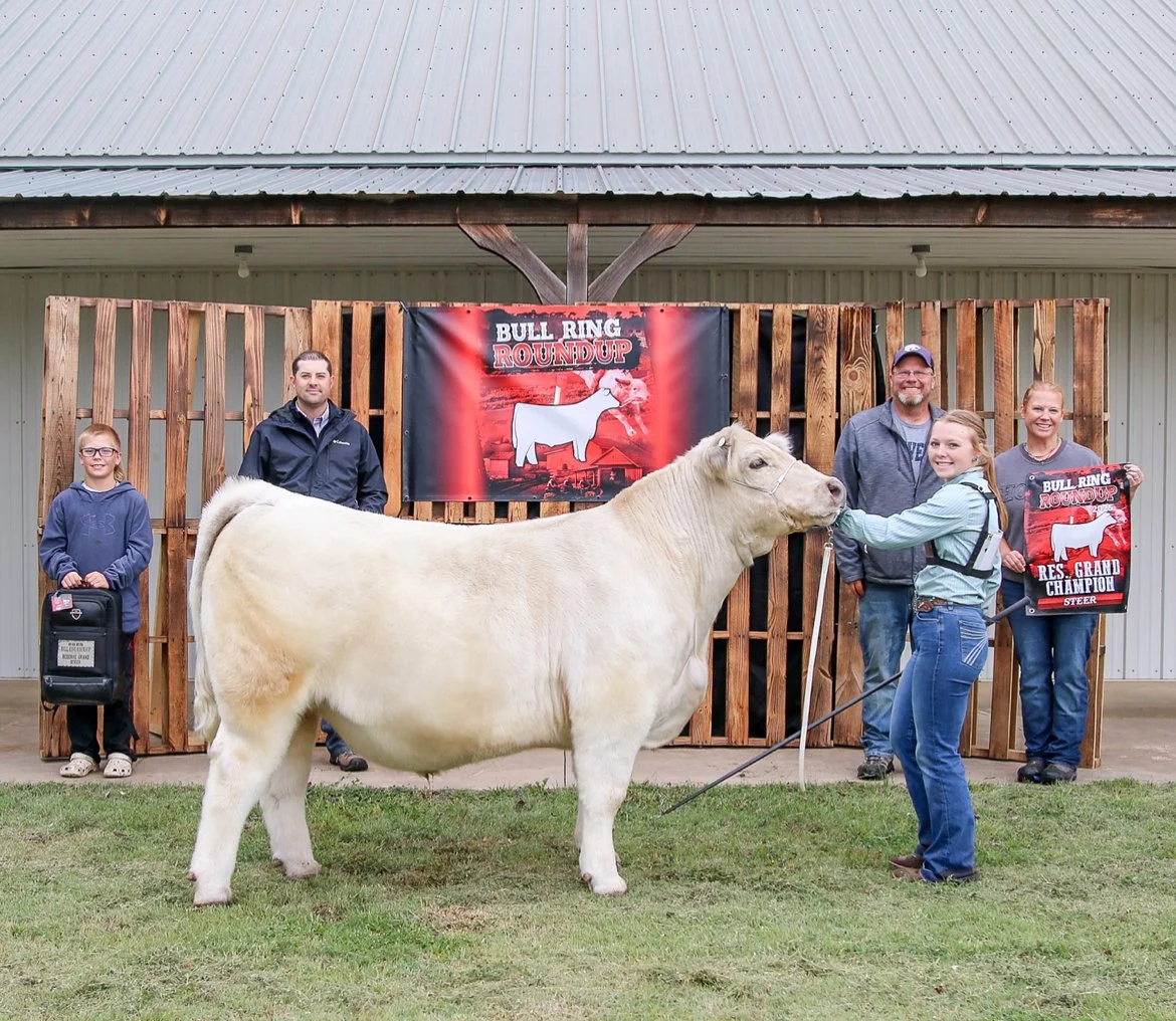   Marly Cramer   
Reserve Grand Steer 
2025 Bull Ring Roundup 
Bred by Fouch Show Cattle