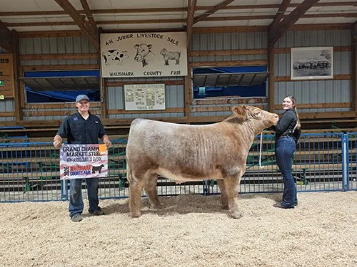  Kylie Garner  
Grand Champion Steer 
2026 Waushara County Fair 
Bred by Sandbox Farms