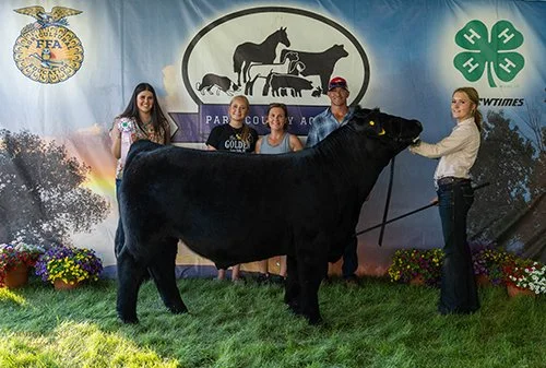  Violet Browning  
Reserve Champion Market Steer 
2026 Park County Ag Fair 
Bred by Wilson Farms