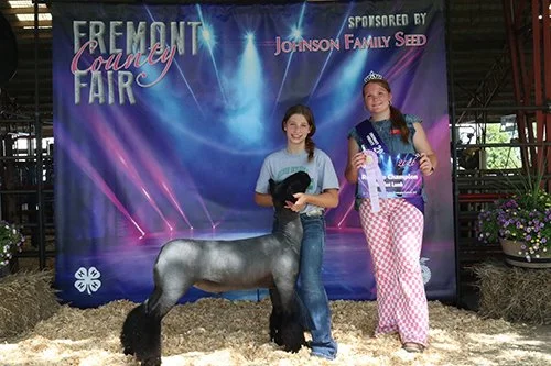   Hallie Wallace  
Grand Champion Carcass 
Reserve Champion Market Lamb 
2026 Fremont County Fair 
Bred by TC Club Lambs