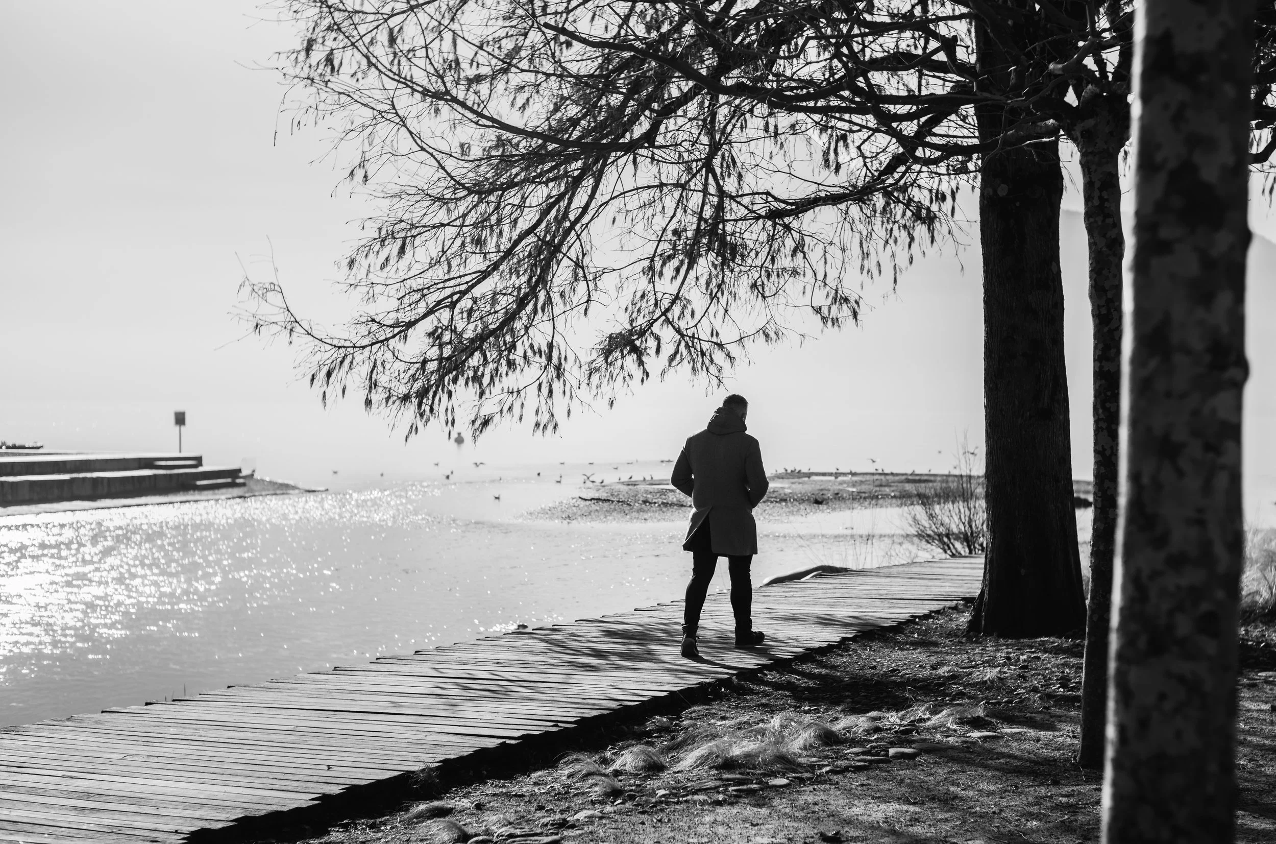 A person walking along a wooden pathway near a body of water on a cloudy day, with trees lining the path and a few birds flying in the sky.
