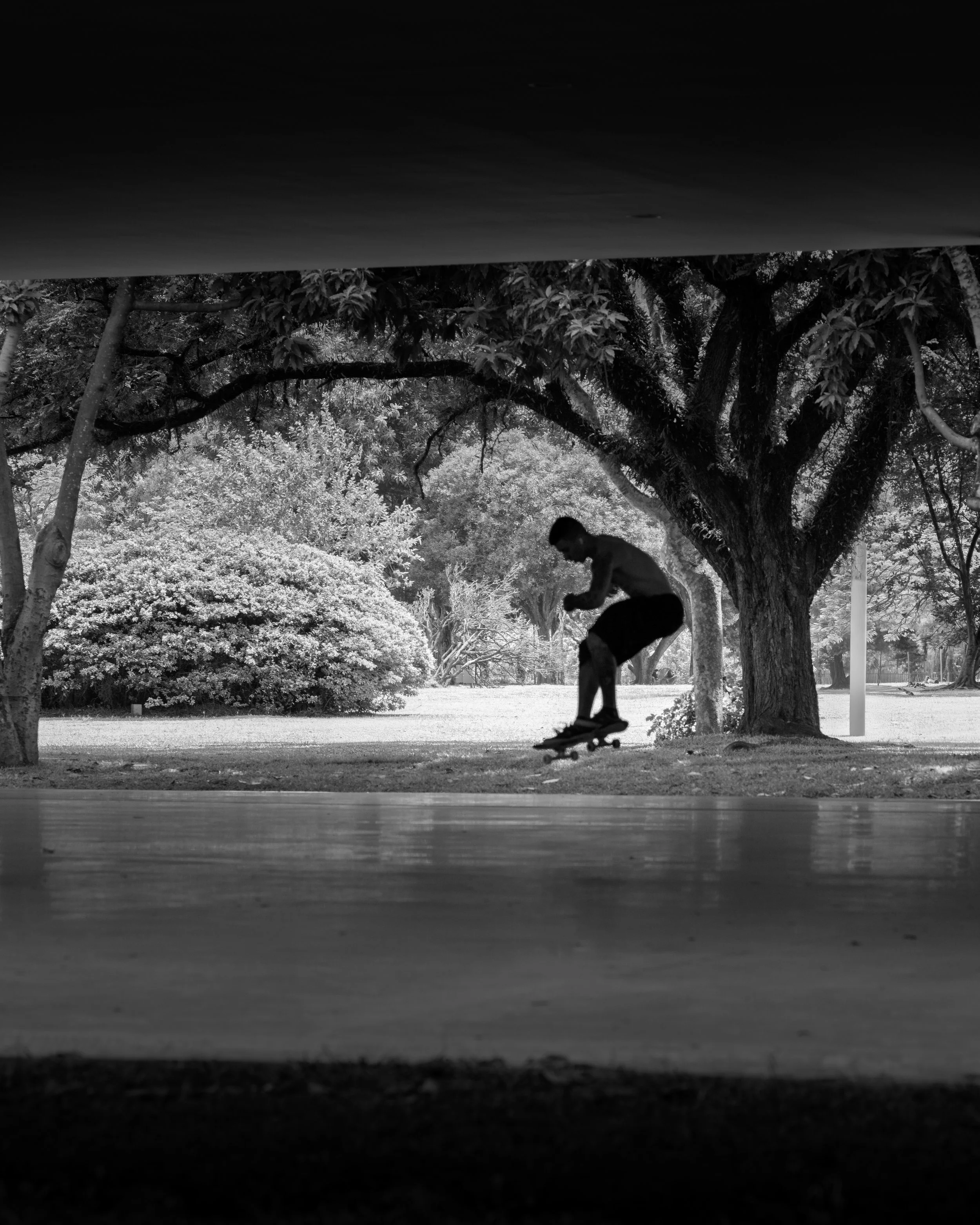 A person skateboarding outdoors under a large tree in a park, viewed from underneath a structure in black and white.
