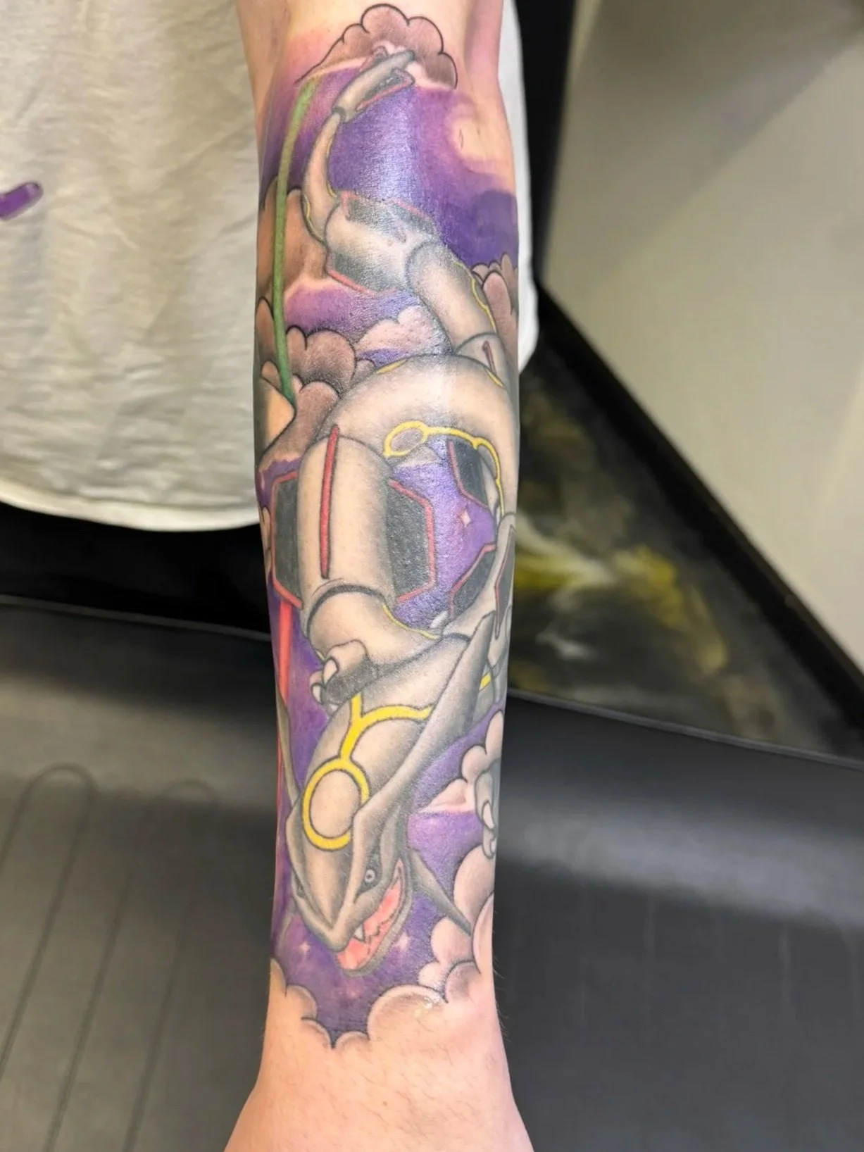 Rayquaza & Minior