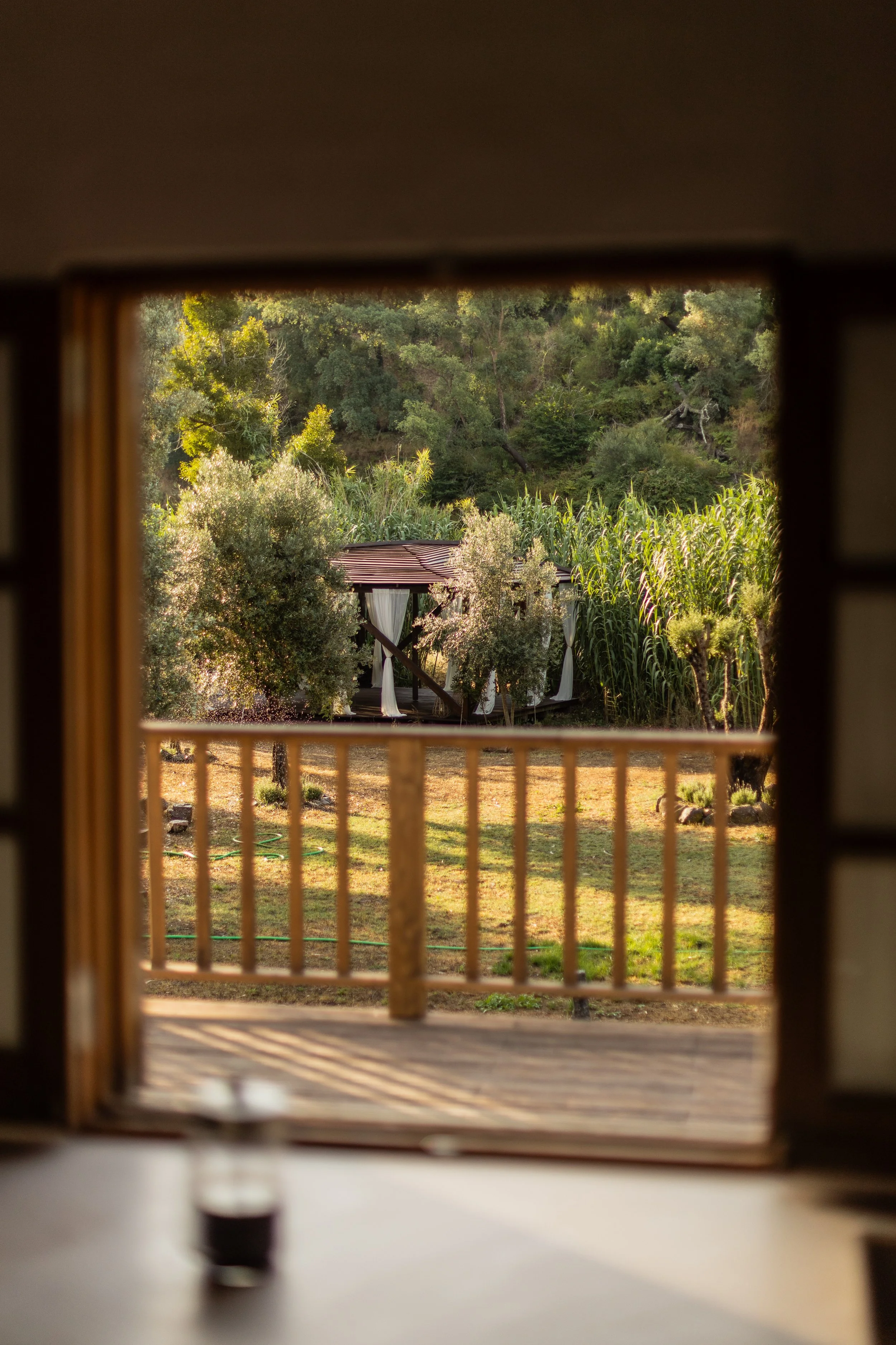 View through a window showing a grassy backyard with trees, bushes, and a small cabin with white curtains, surrounded by tall grass and hills in the background.