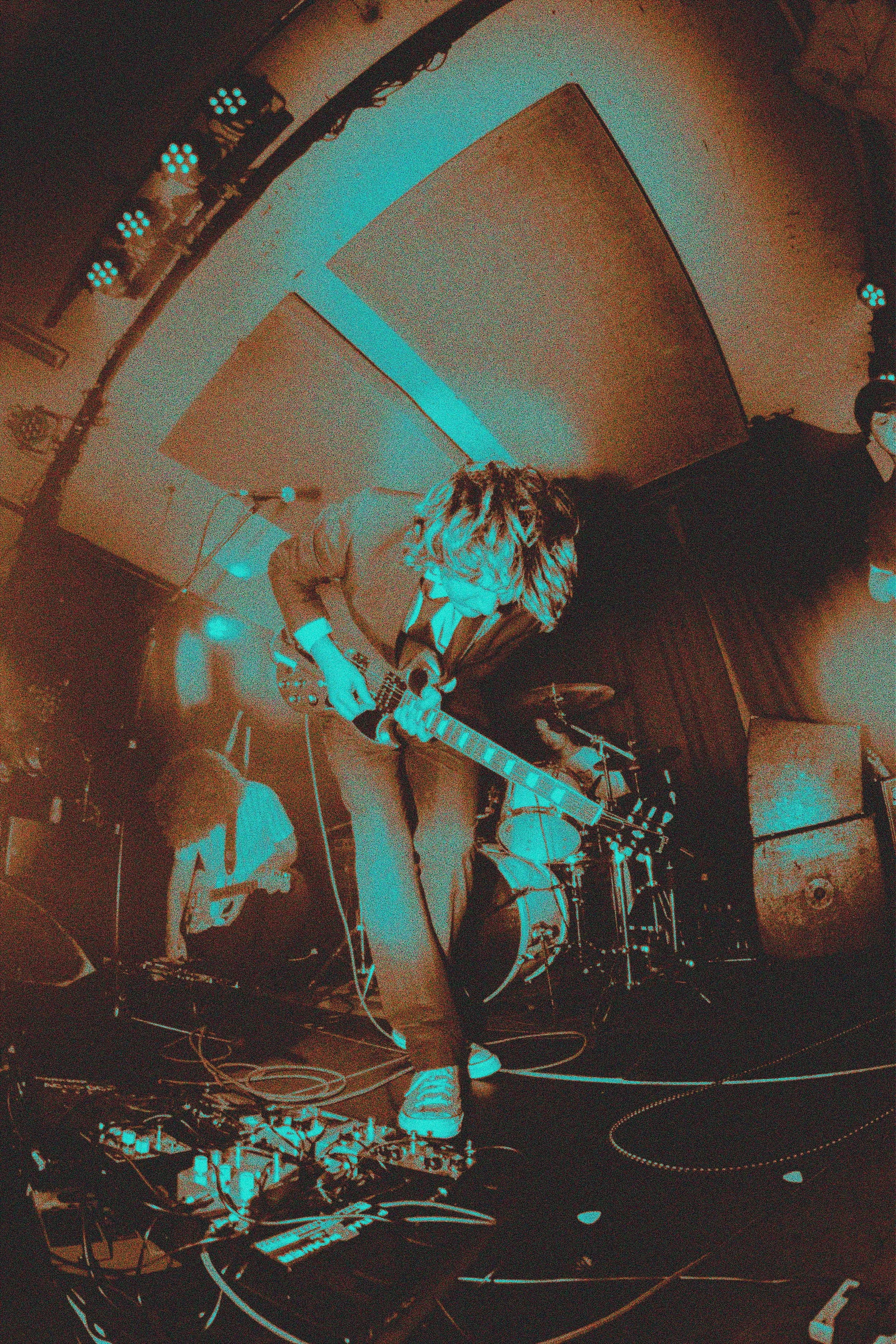 JOE WILDFLOWER - 2023