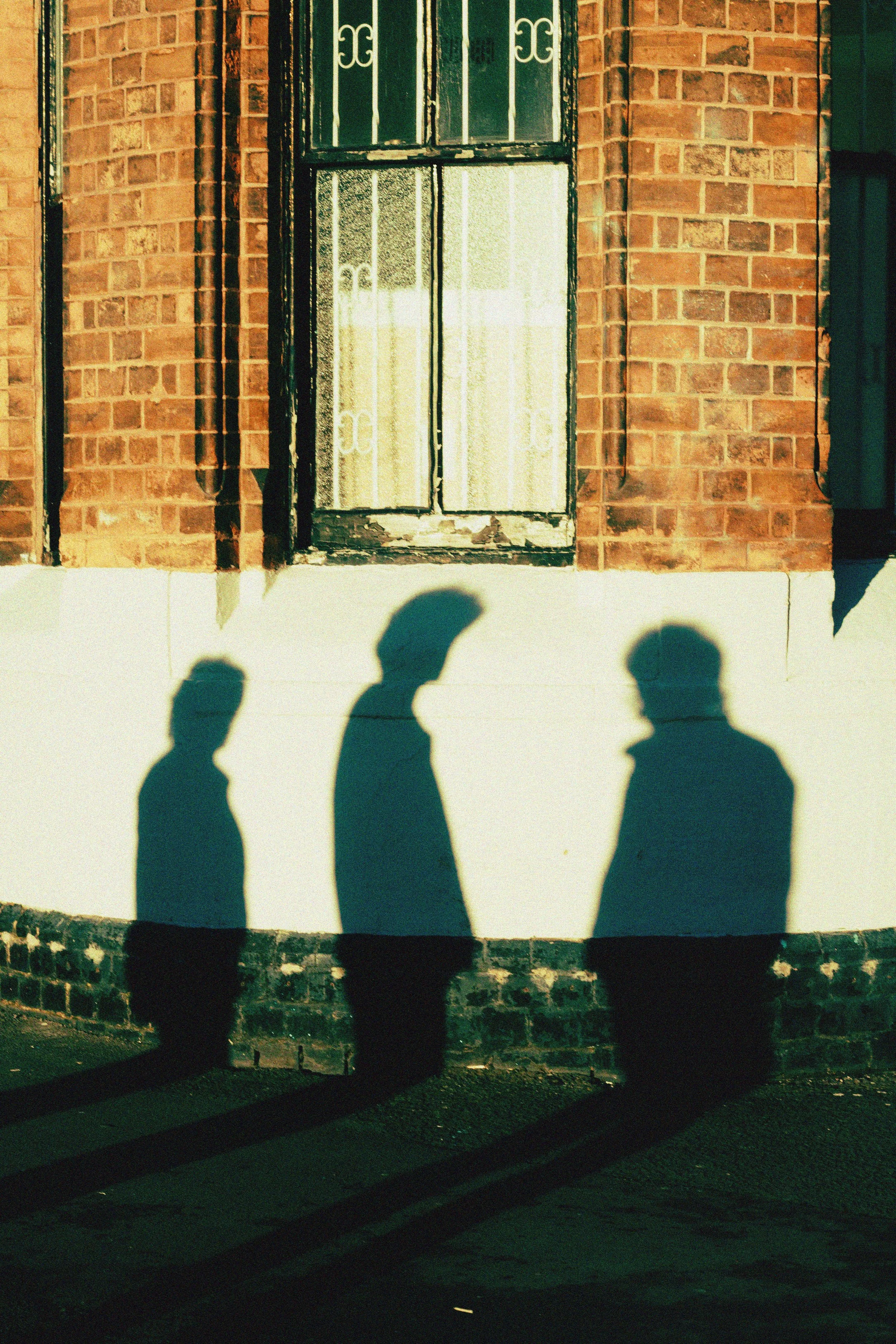 THE BUNNY SUIT - 2025