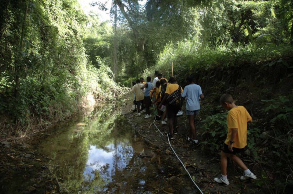 A Strategy for Management of Ghuts In The USVI