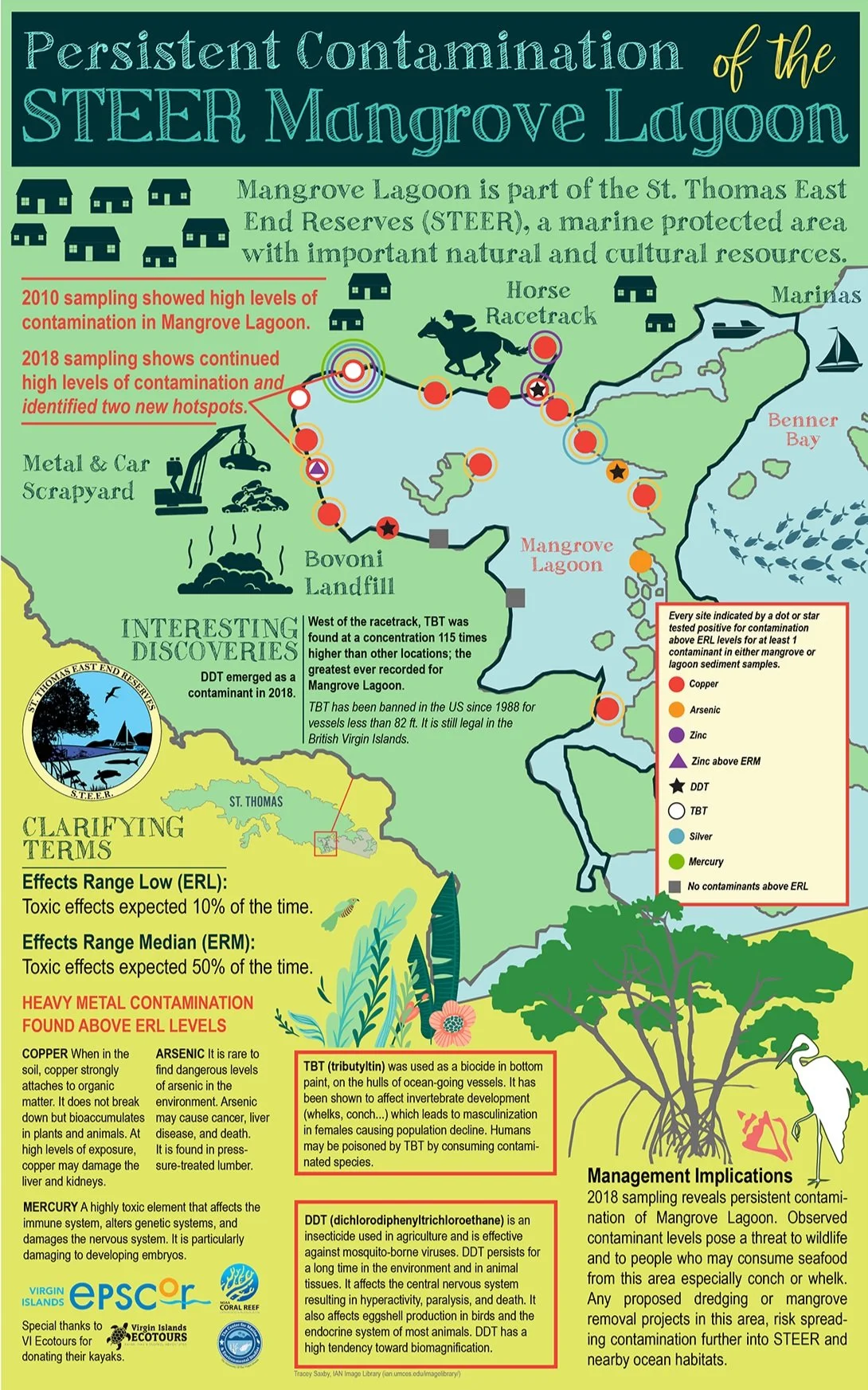 STEER Mangrove Lagoon Infographic