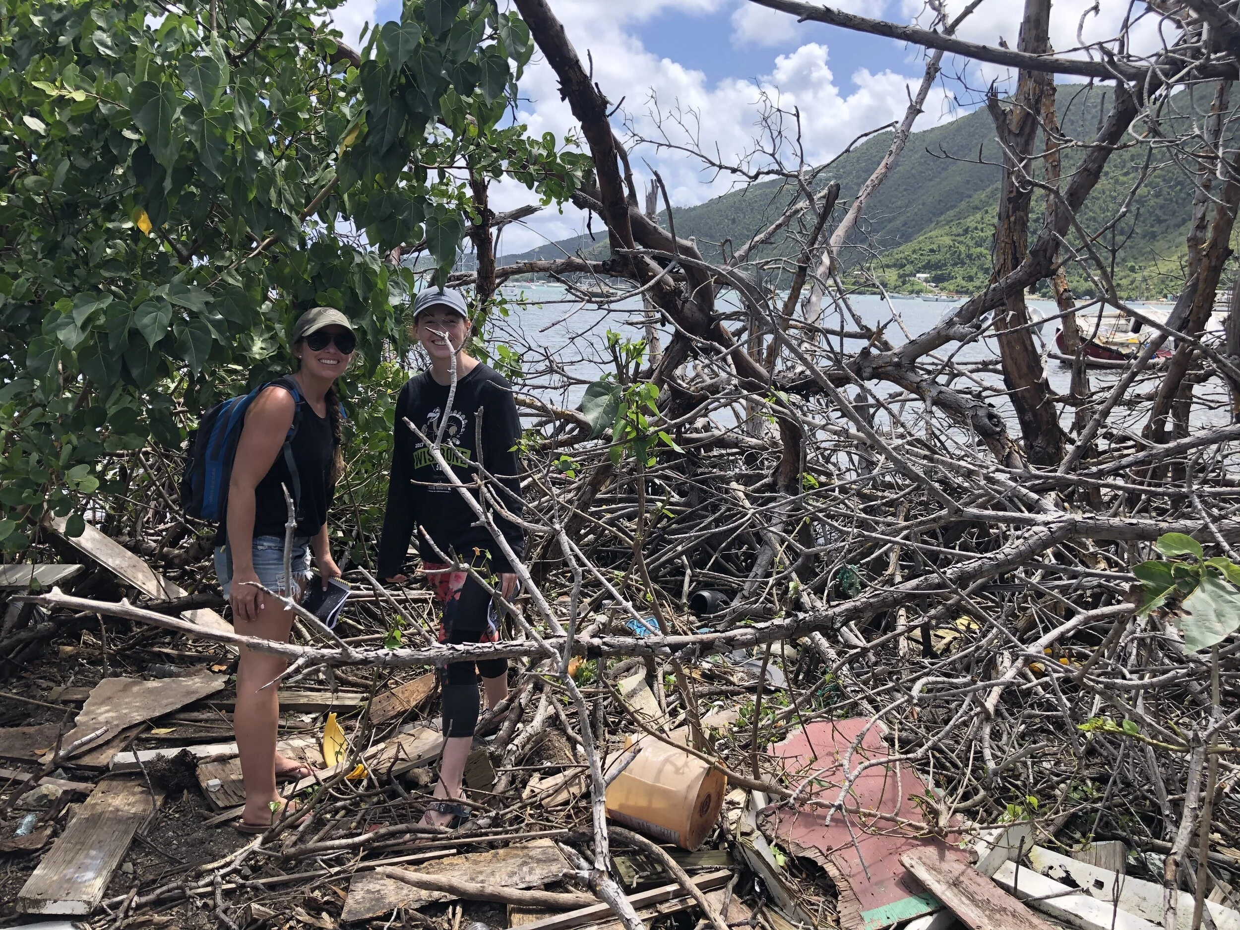 Great Mangrove Clean-Up team members Maggie Rios (left) and Allie Durdall (right) scout access points for the St. John Great Mangrove Cleanup in Coral Bay. Photo credit: Dr. Kristin Wilson Grimes.