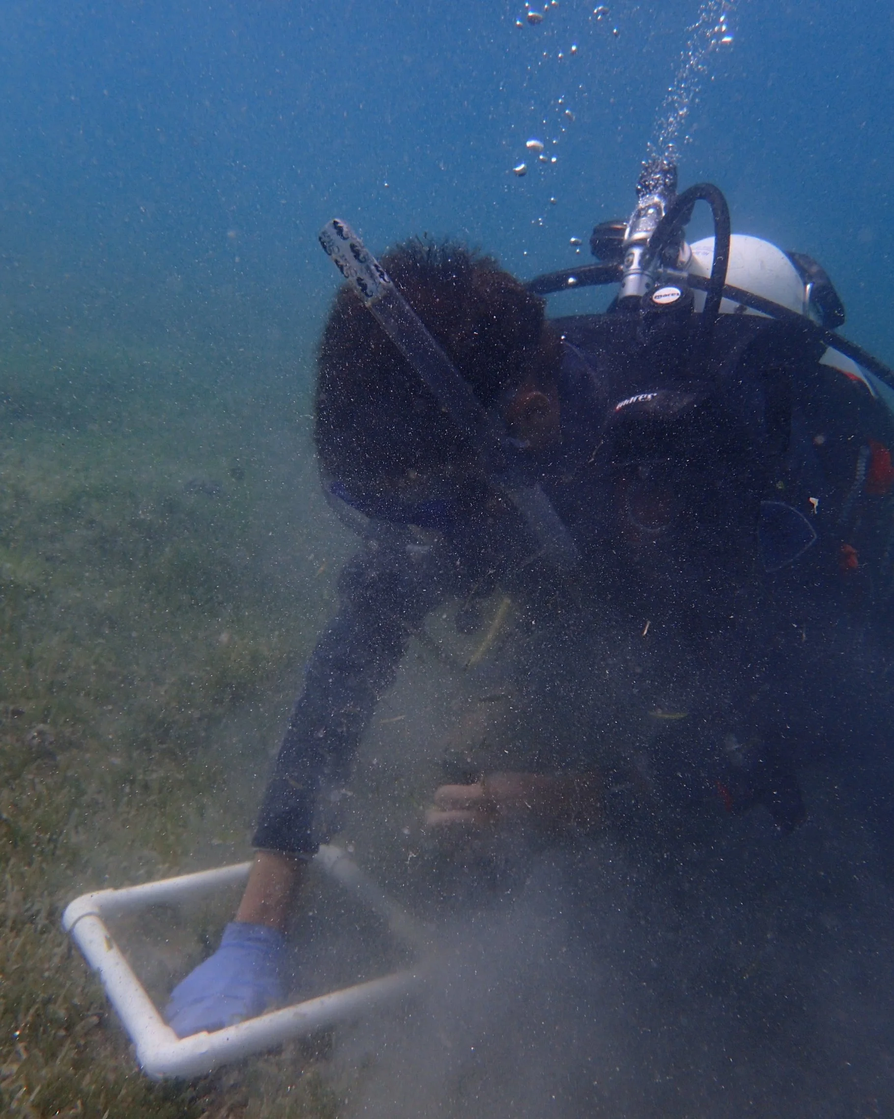 John Cassell using SCUBA gear to collect seagrass for nutritional analysis at a sample location within Brewers Bay.