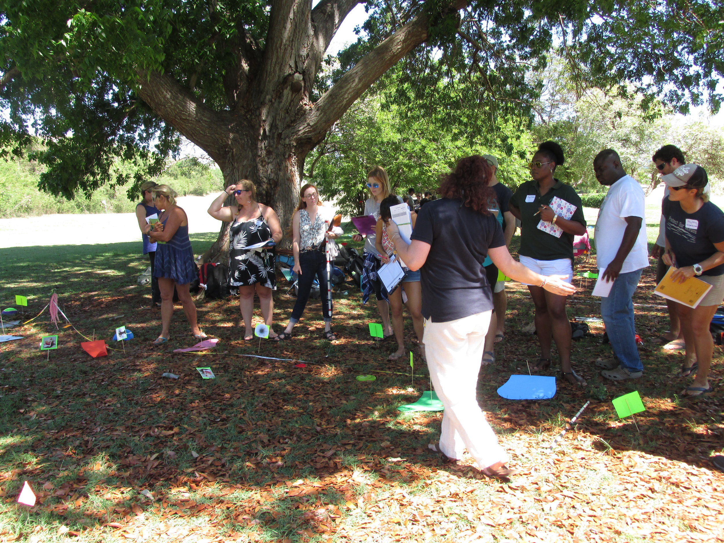 To participate in the NCRMP surveys, UVI staff and students participated in rigorous training in the fish and coral assessment protocols. Dr. Brandt has contributed to the development of the protocols and has helped lead NCRMP efforts in the territo…