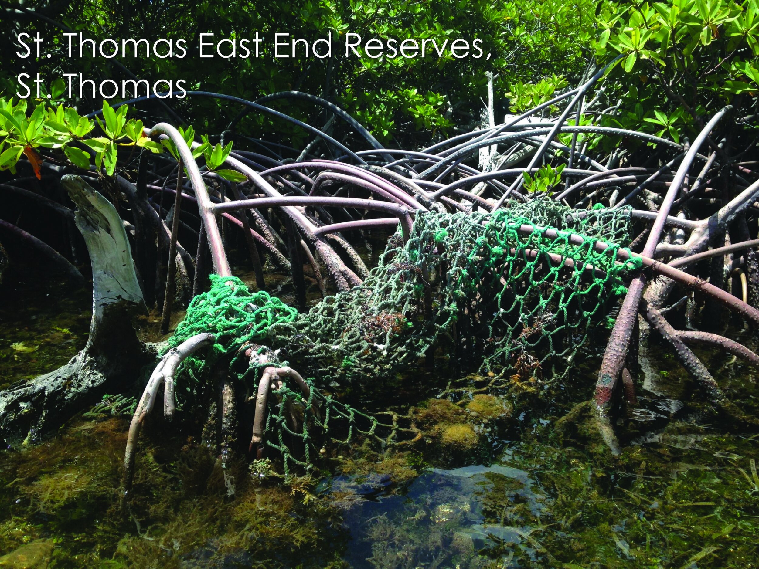 More Than $26,000 Awarded to Teachers for Marine Debris Prevention and Education
