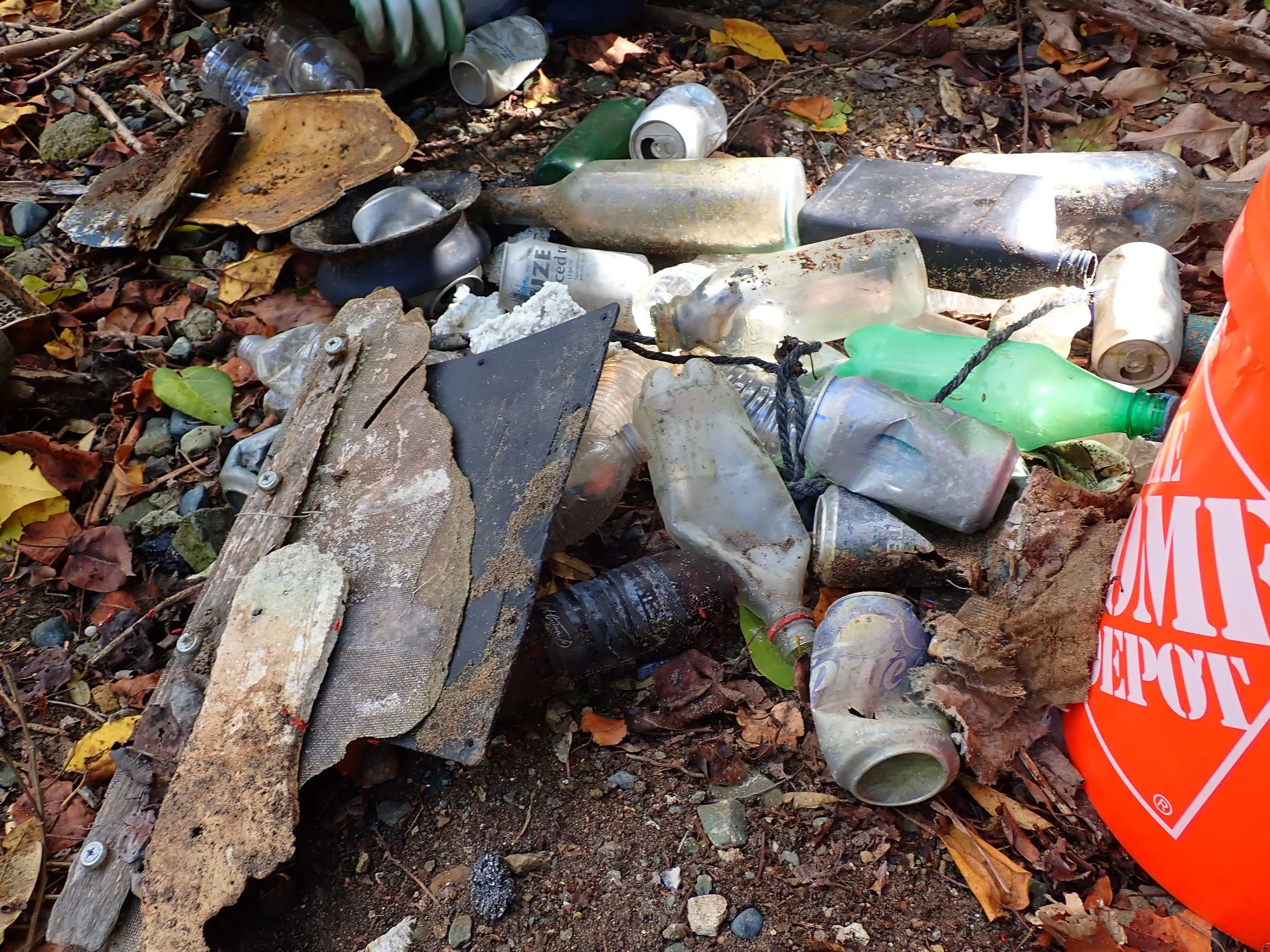 St. John Great Mangrove Cleanup