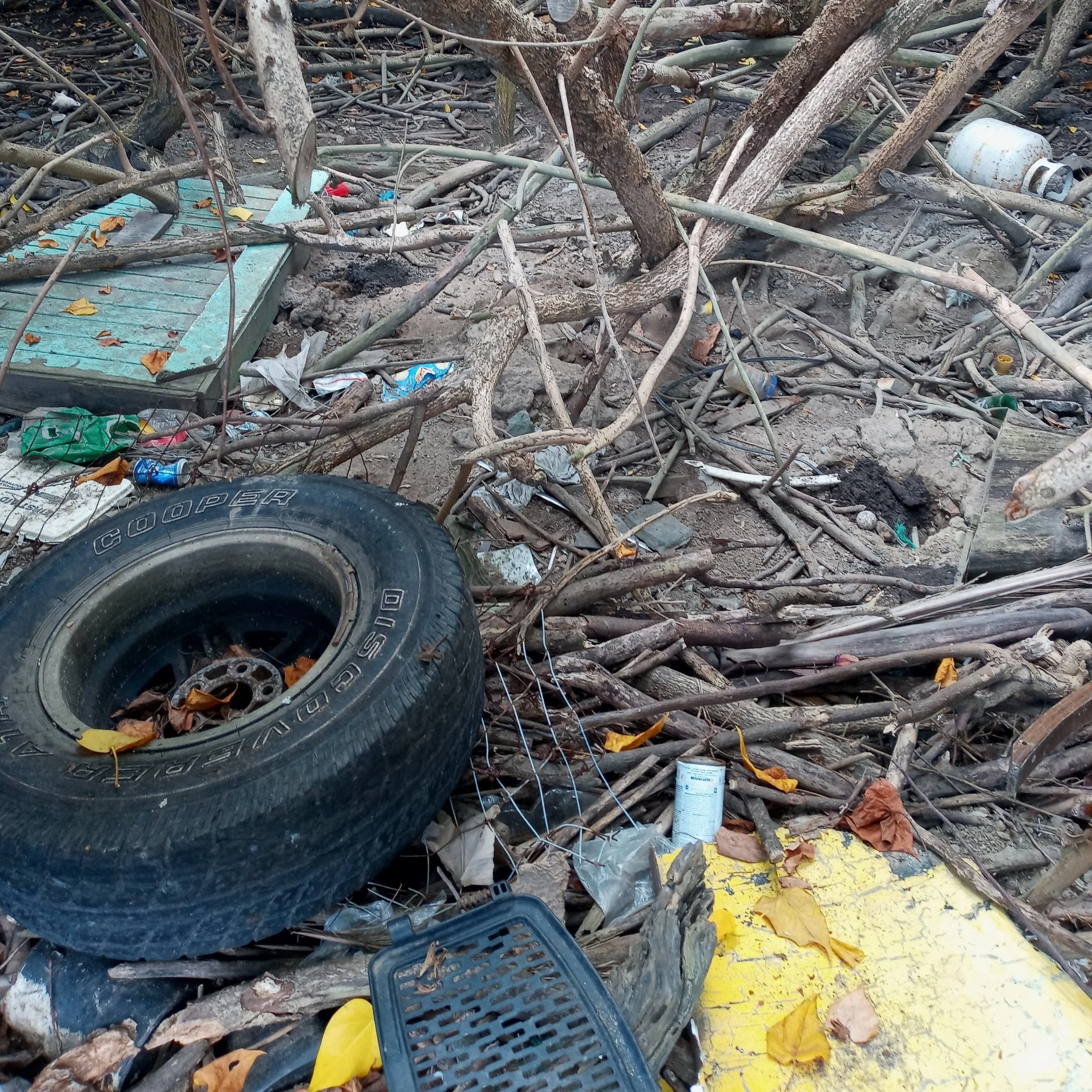 St. Thomas Great Mangrove Cleanup